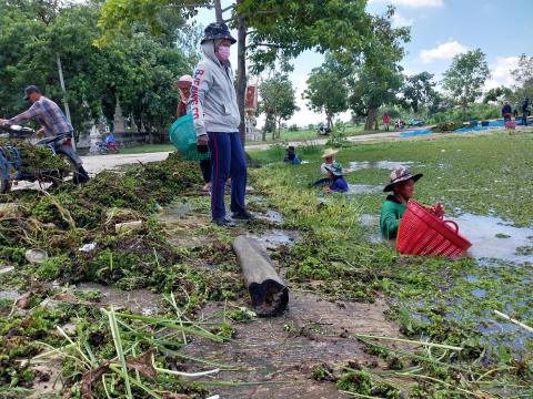 กำจัดวัชพืชในแหล่งน้ำสาธารณะ