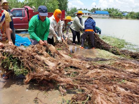 กำจัดวัชพืชในแหล่งน้ำสาธารณะ